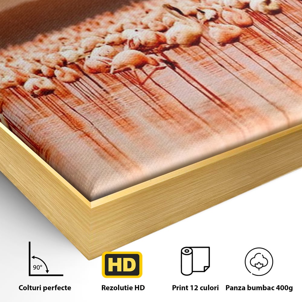 Detaliu al suprafetei: tablou canvas cu stol de flamingo la apus, in rama de aluminiu auriu